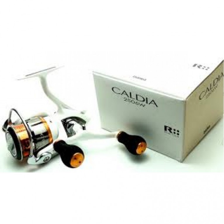 Катушка безынерционная DAIWA Caldia 09 2506W