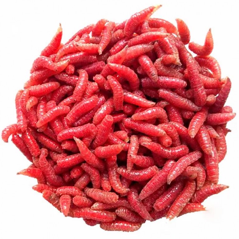 Опарыш красный фасованный (L) 10гр